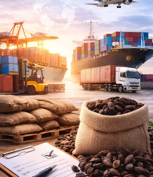 envato-labs-image-edit (5)